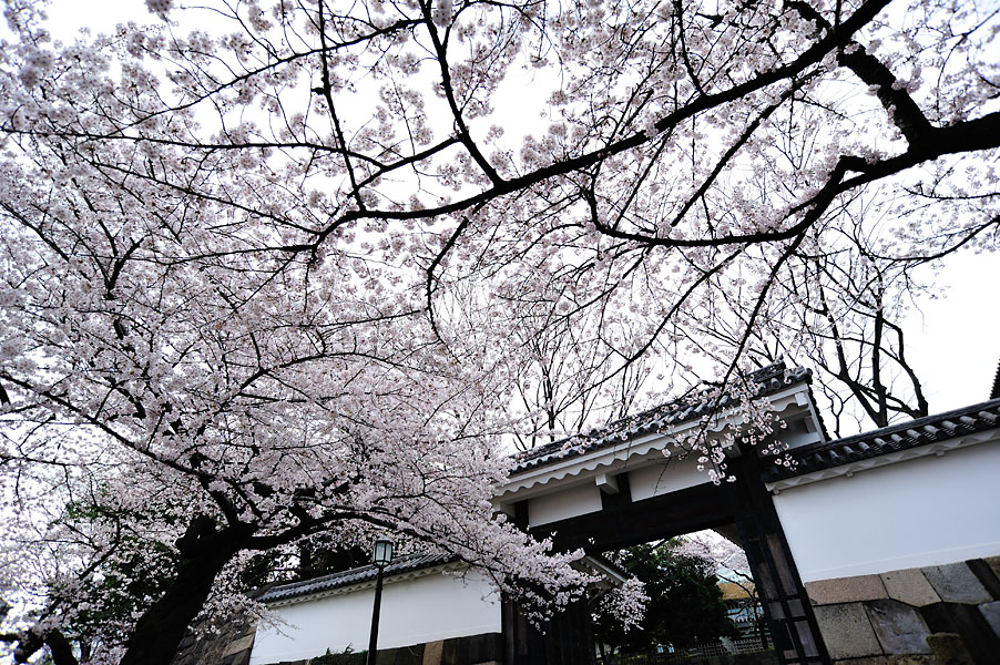cb2012_020.jpg