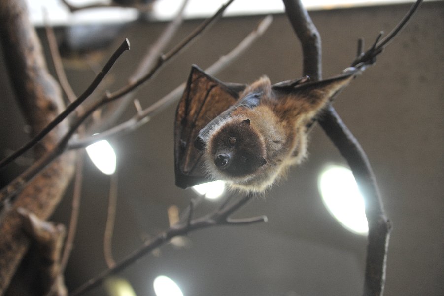zoo_014.jpg