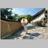 kazue75_007.jpg